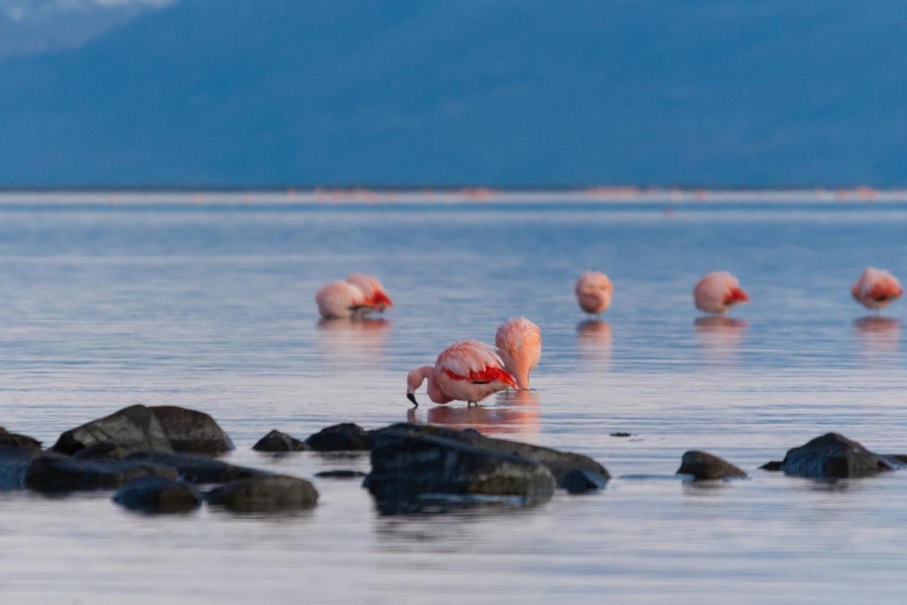 Hotel Las Dunas El Calafate Ngoại thất bức ảnh